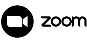 Zoom logo