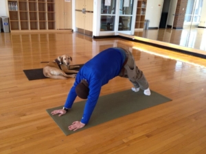 Josh does a downward facing dog yoga pose on a mat with his golden Lab, Alpha laying down next to him