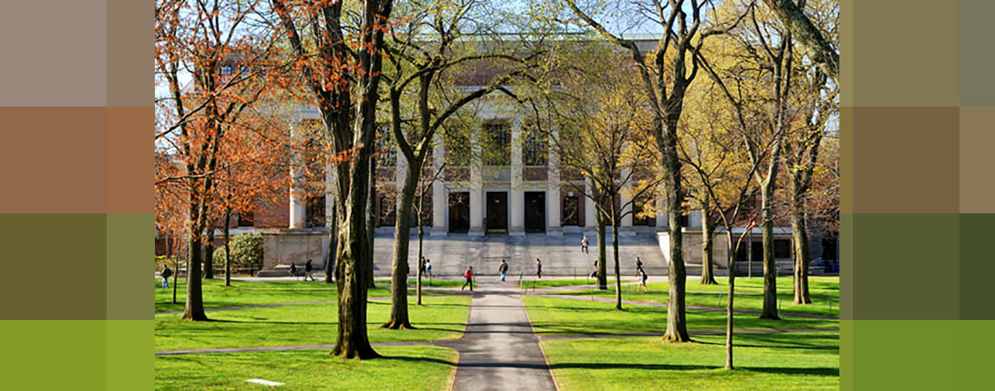the Harvard University campus