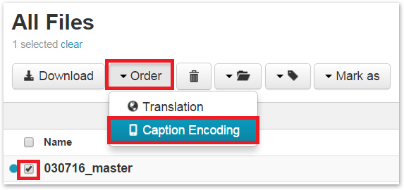 Screenshot with Order and Caption Encoding selected