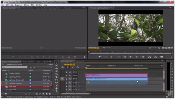 Screenshot in Adobe Premiere Pro with portion of video selected in editing timeline