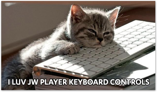 I Luv JW Player Keyboard Controls