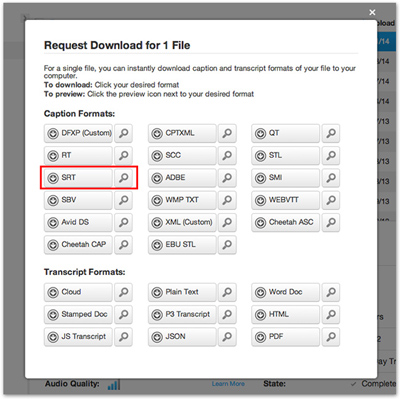 Request Download for 1 File window with SRT selected under Caption Formats