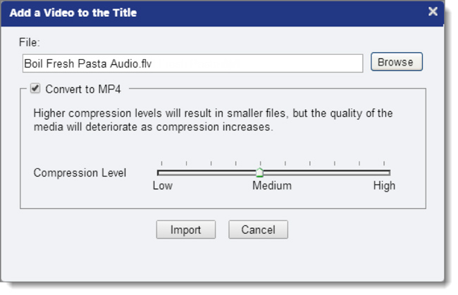 Select FLV/MP4 File