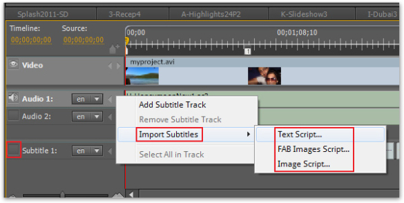 Screenshot in Adobe Encore Project with Import Subtitles and Text Script, FAB Images Script, and Image Script selected