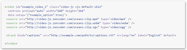 Screenshot of embed code for video-js