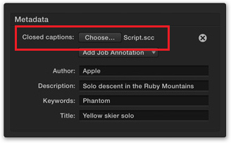 Add Captions to Your Compressor Batch