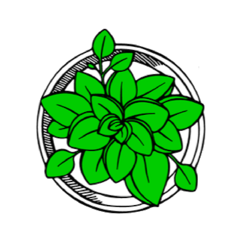 succulent vector icon
