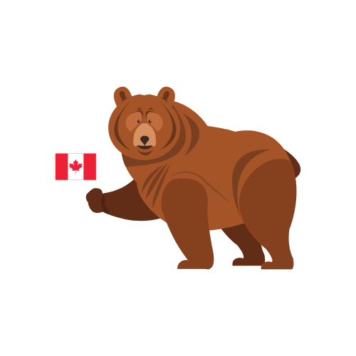 Brown bear holding Canadian flag.