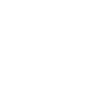 microphone icon