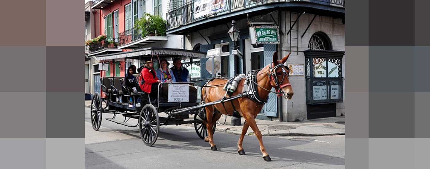 Customers in a carriage riding through the streets on New Orleans, Louisiana