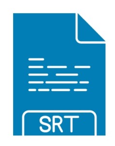 SRT file icon