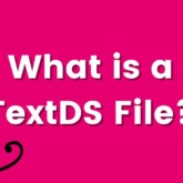 what is a text ds file?