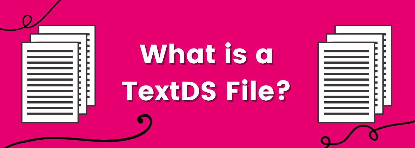 what is a text ds file?