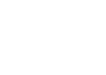 penn state white logo