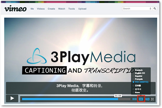screenshot of Vimeo video player with captions enabled