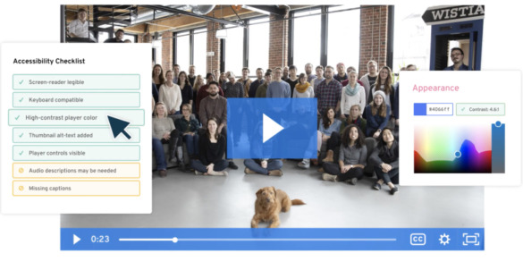 Wistia accessibility checklist feature example