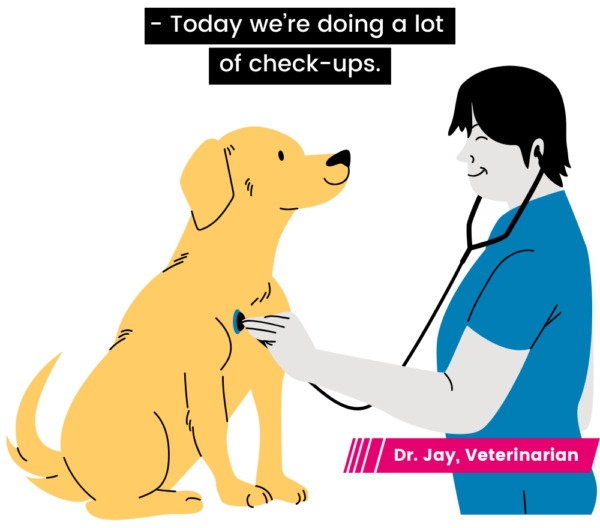 A person wearing scrubs and a stethoscope listens to a golden retriever's heartbeat. A pink lower third graphic in the bottom right corner reads "Dr. Jay, Veterinarian." At the top, center of the screen is a closed caption with white text on a black background reading "- Today we're doing a lot of check-ups."