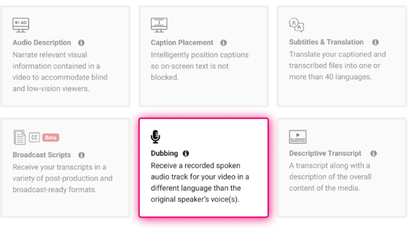 A screenshot from out platform show that the order form allows you to add additional services such as AI Dubbing by simply clicking on the items you need before submitting your order.