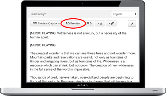 To Preview audio descriptions, click the AD Preview button next to CC preview Captions button.