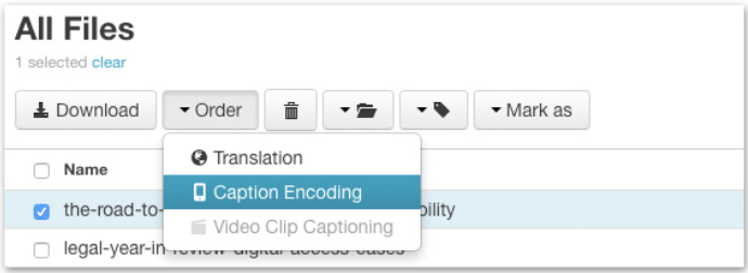 Screenshot with Order and Caption Encoding selected