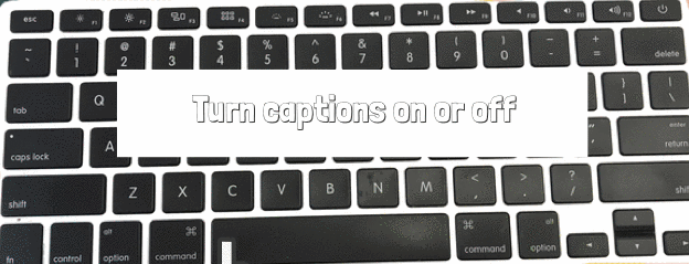 To turn captions on/off, press the C key. To increase or decrease the size, press + or - respectively