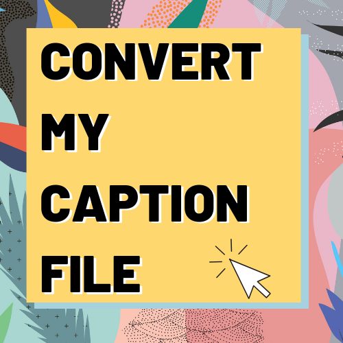 click here to convert your caption file