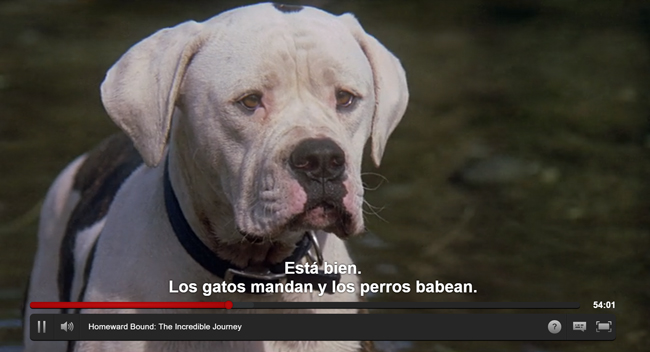 a screen shot of Chance the dog from the movie Homeward Bound. The subtitles on screen are in Spanish. They say: Esta bien. Los gatos mandan y los perros babean.