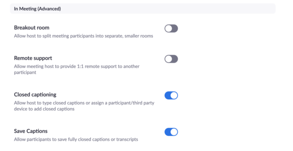 zoom settings page