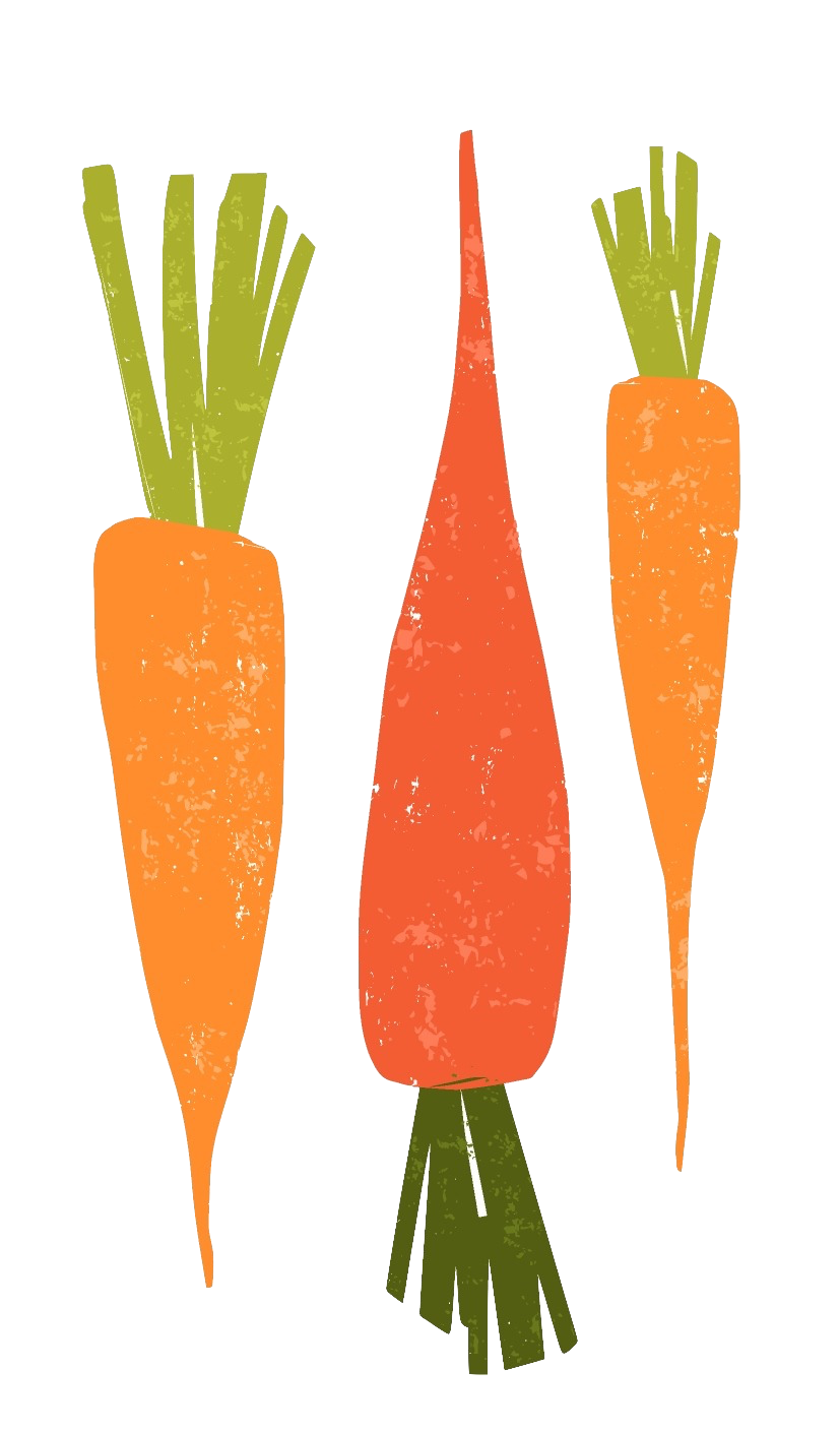 Rainbow carrots in watercolor painting.