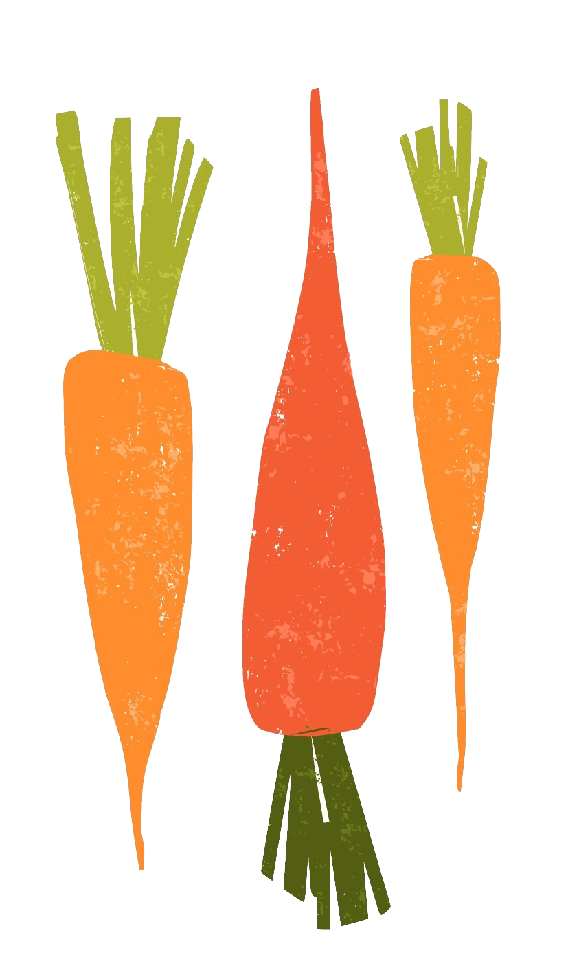 Rainbow carrots in watercolor painting.