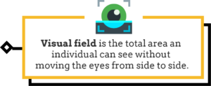 Visual field is the total area an individual can see without moving the eyes from side to side.