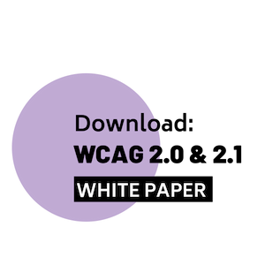 download the wcag 2.0 and 2.1 white paper